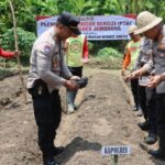 Polres dan Kodim Jembrana Bersama Forkopimda Tanam Jagung Demi Ketahanan Pangan