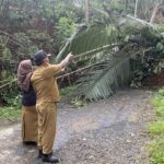 Bencana Longsor di Banjarnegara Putuskan Jalan Utama Dua Kecamatan