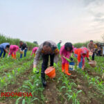 Untuk Perkuat Ketahanan Pangan, Kapolresta Malang Kota Inisiasi Program Tanam Jagung Bersama Ibu Bhayangkari